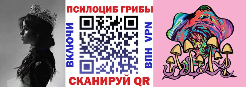 Псилоцибиновые грибы GOLDEN TEACHER закладки Хилок
